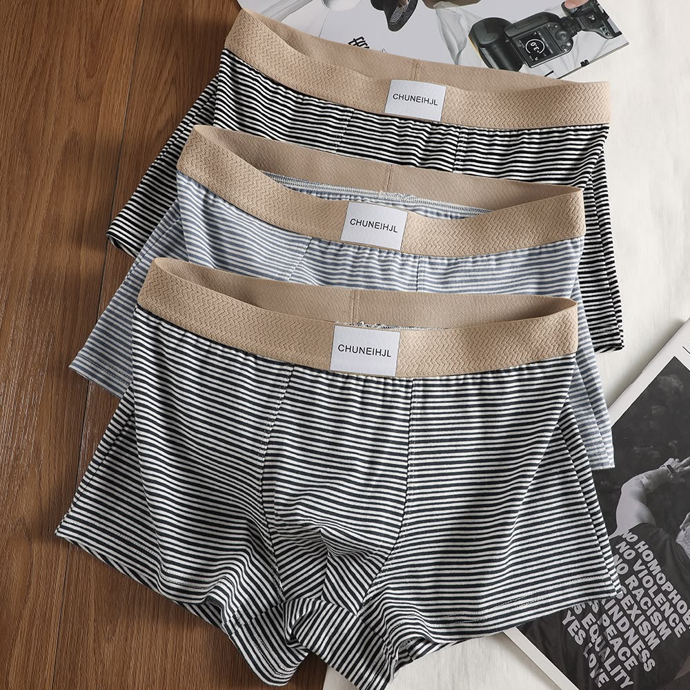 Men's Underwear - Style 3