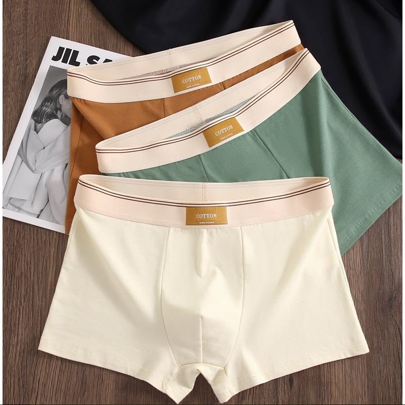 Men's Underwear - Style 4